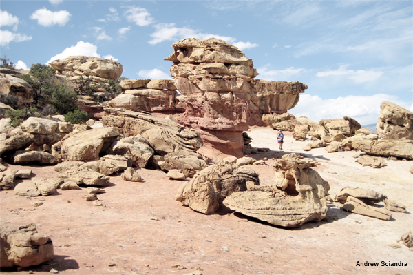 Donna in Dali Landscape by Andrew Sciandra